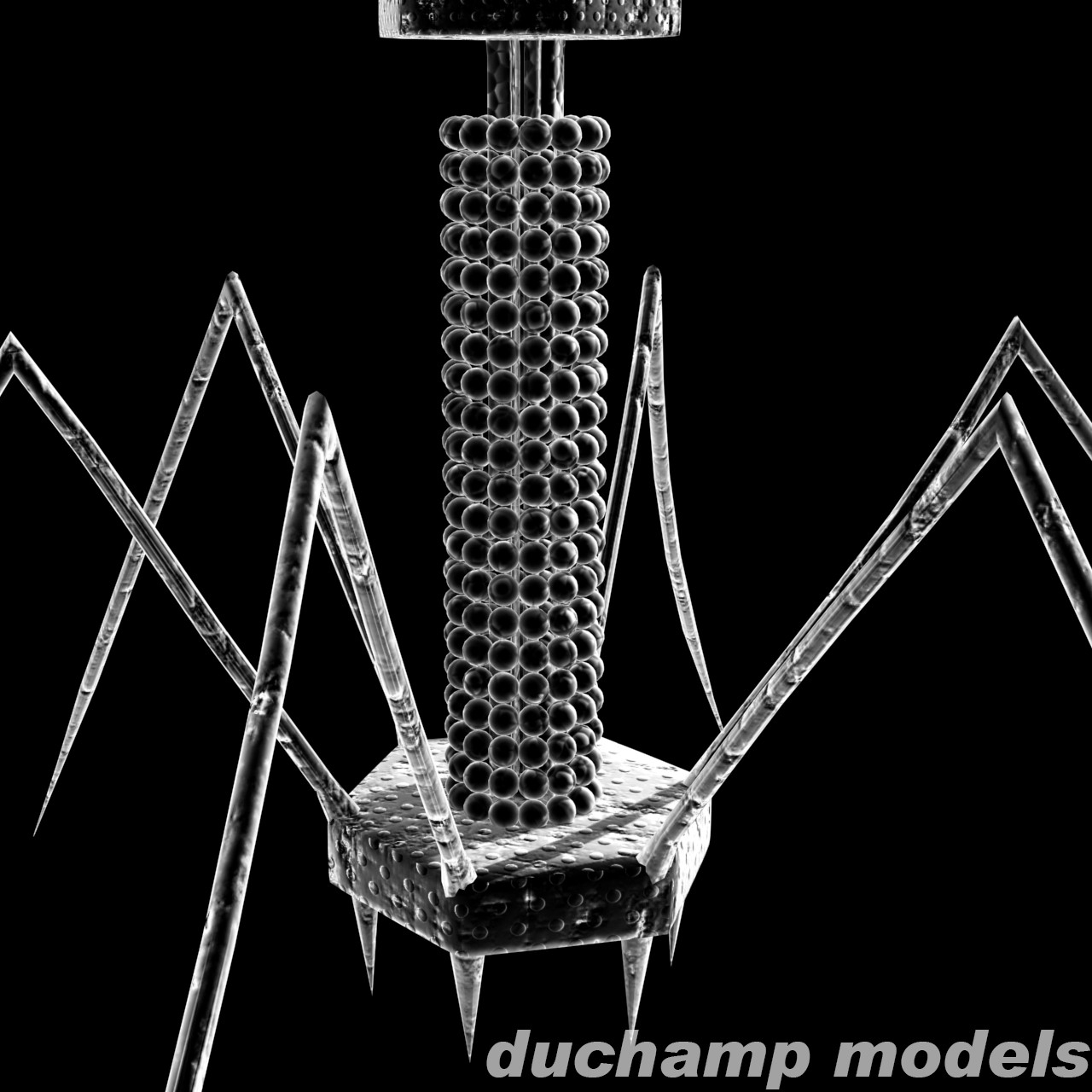 噬菌体病毒3d模型