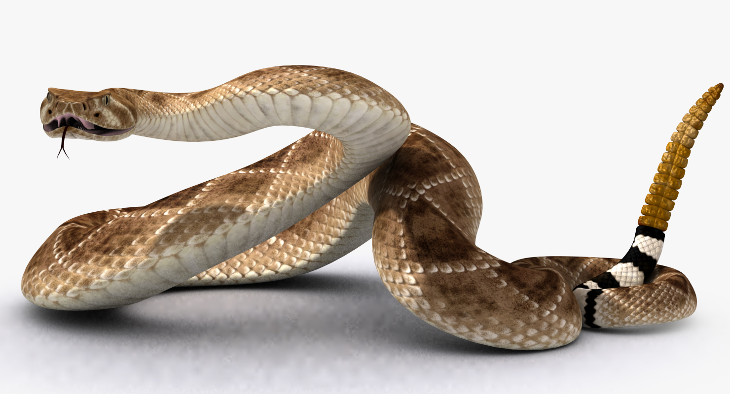 3d model змея Aspid