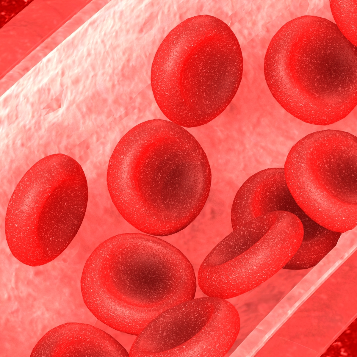 blood vessel