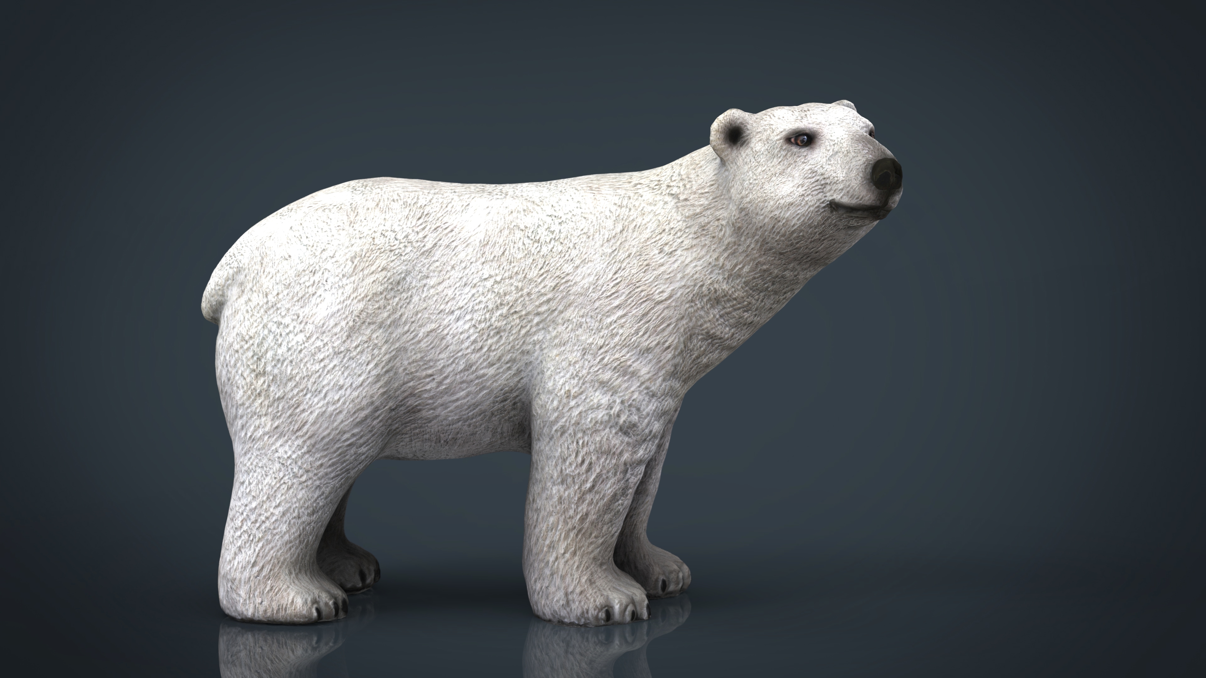 3d model polar bear