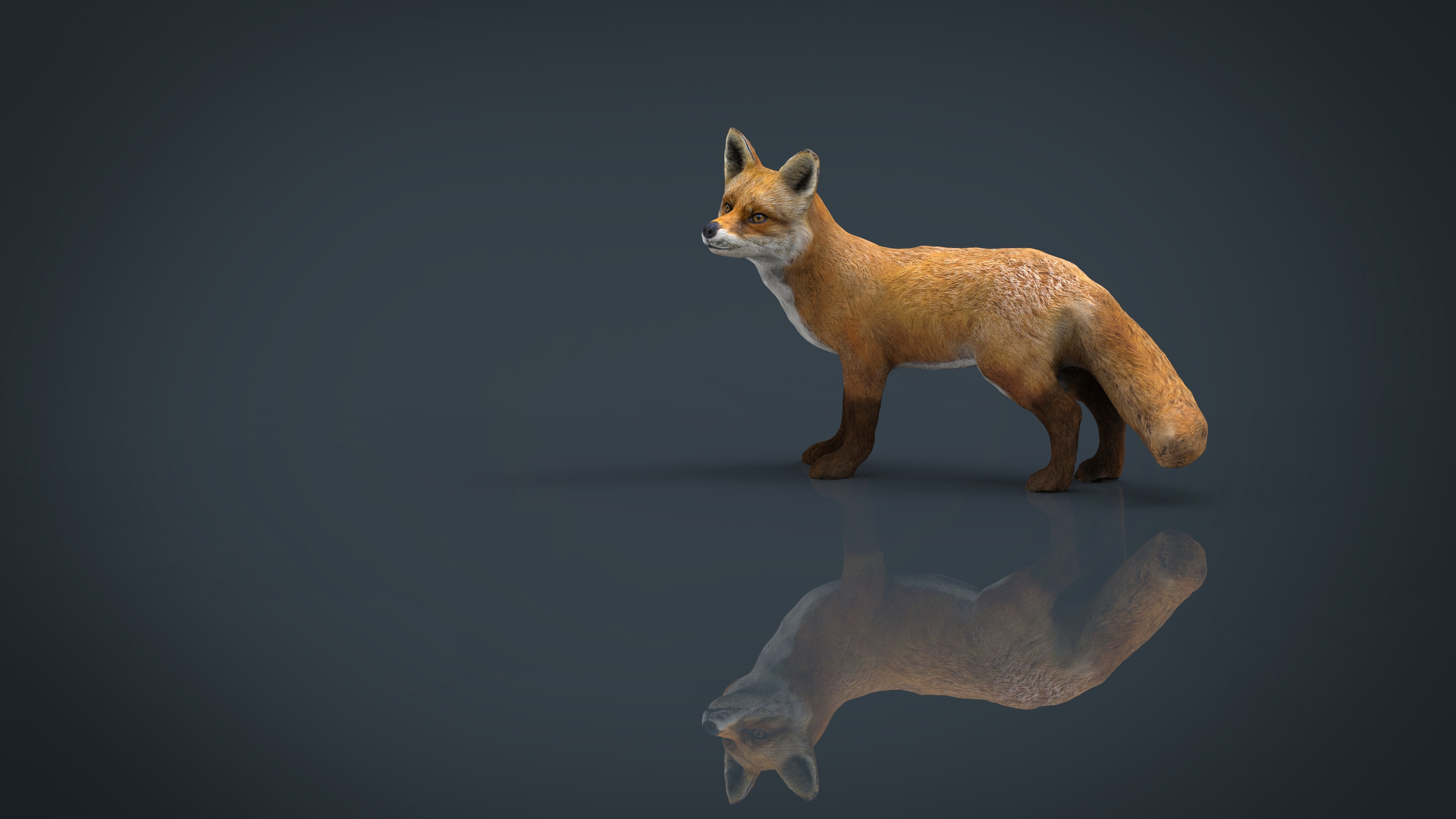 狐狸3d模型