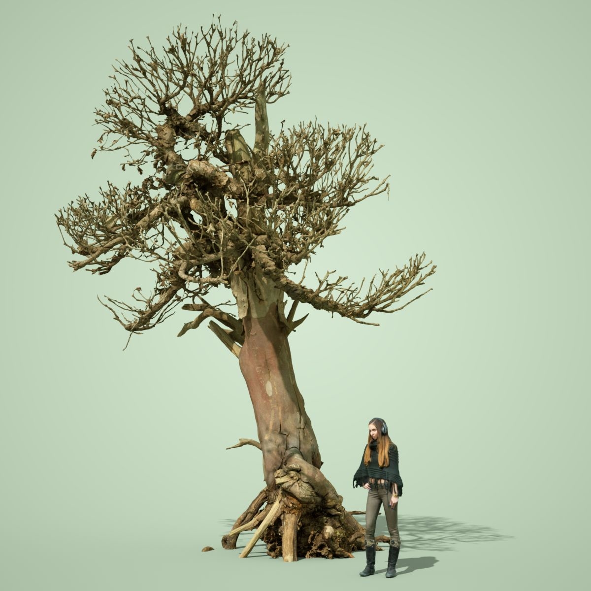 3d stylised dead tree collection