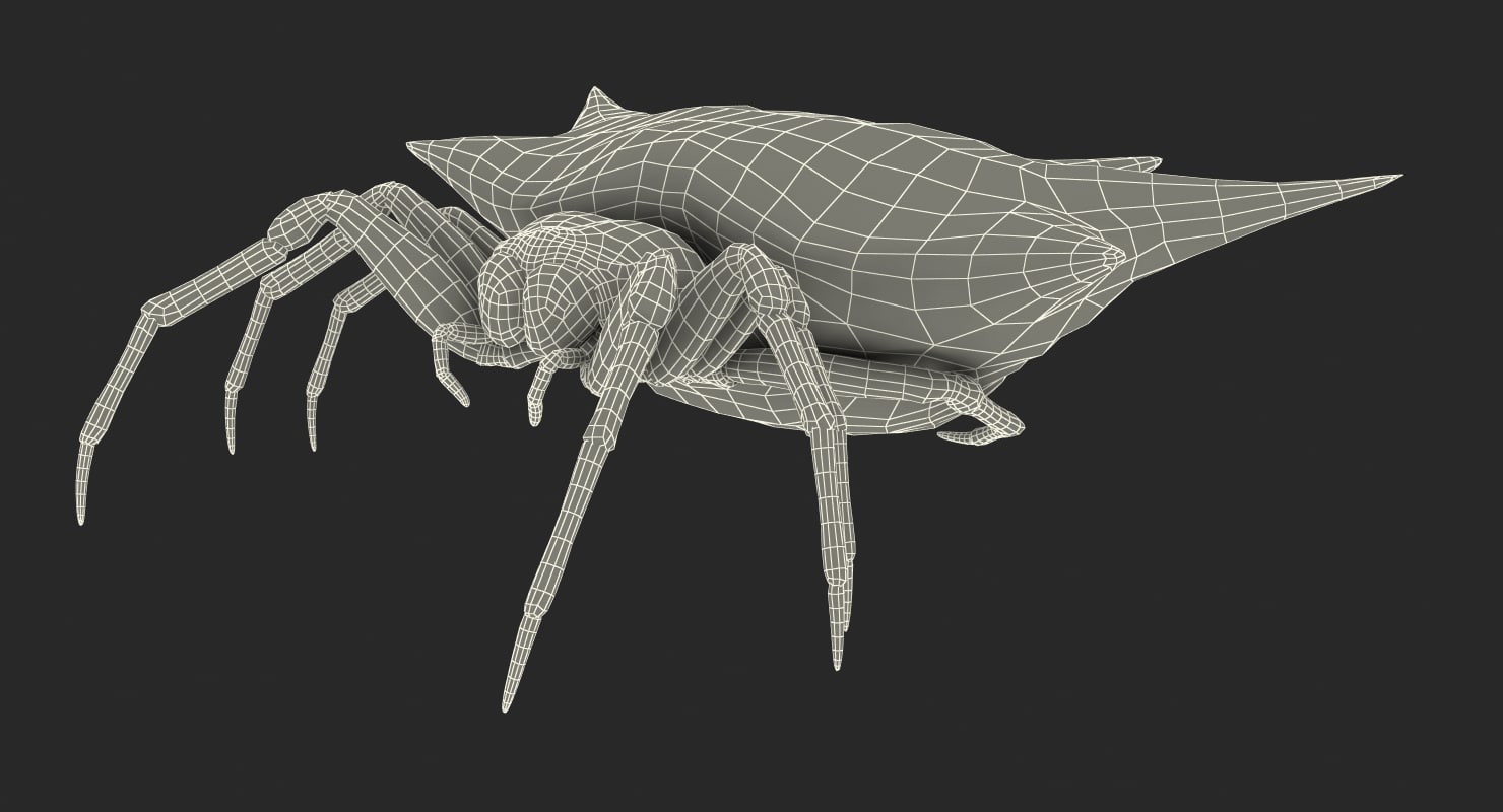 3d spiny orb weaver spider - turbosquid 1170063