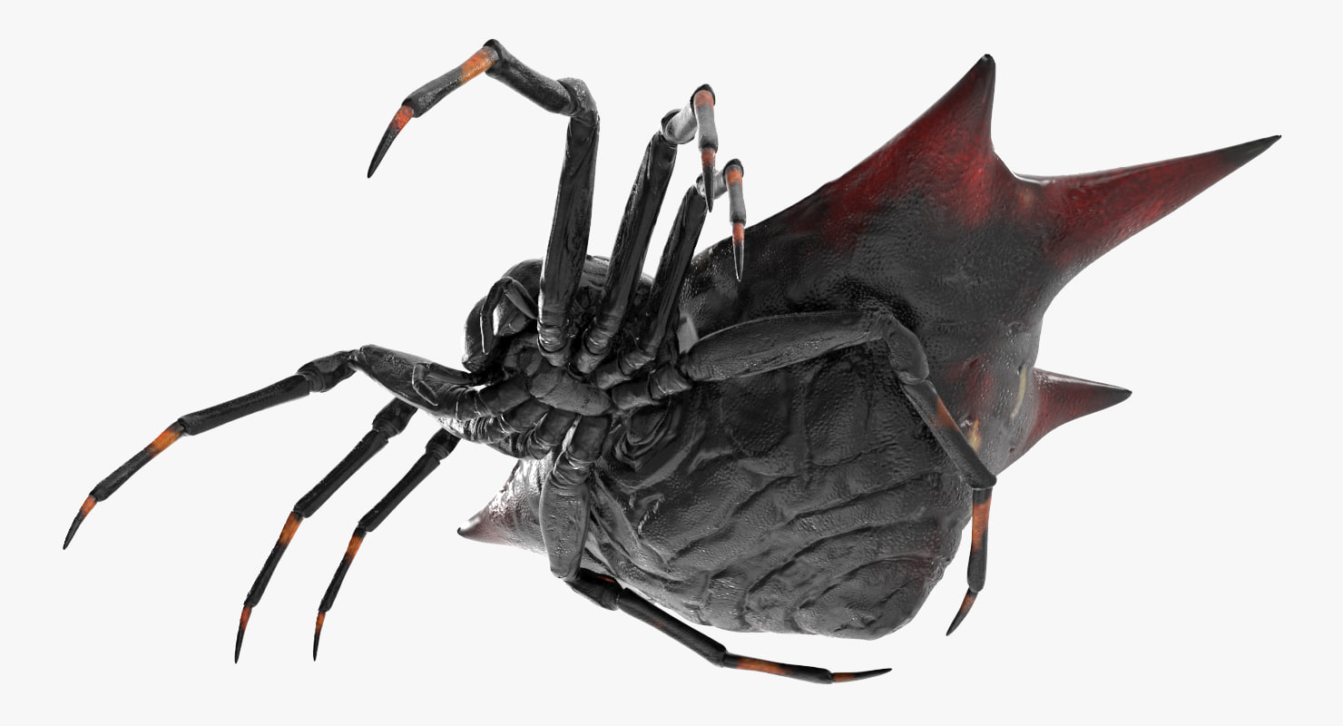 spiny orb weaver spider 3d model - turbosquid