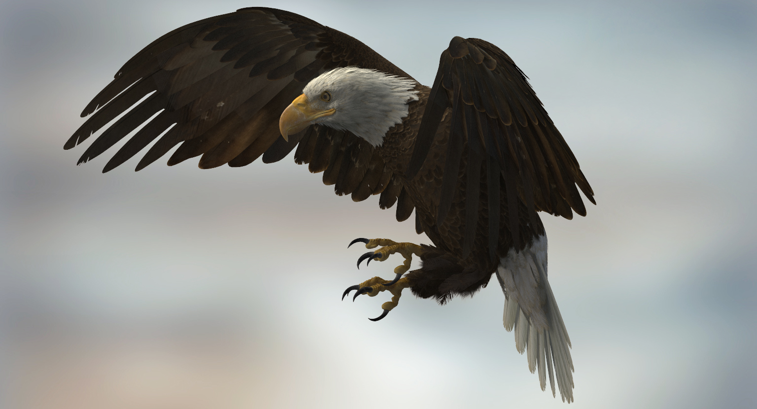 3d american bald eagle rigged model