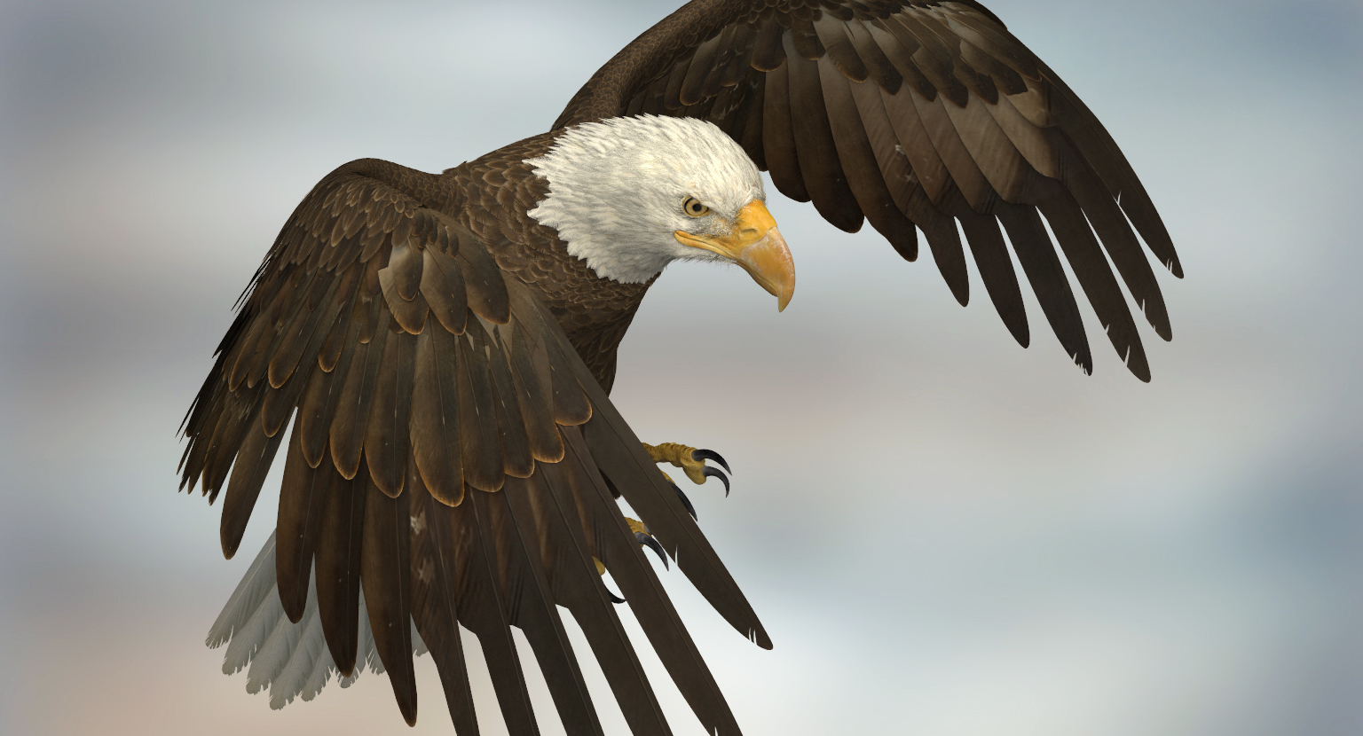 3d american bald eagle rigged model