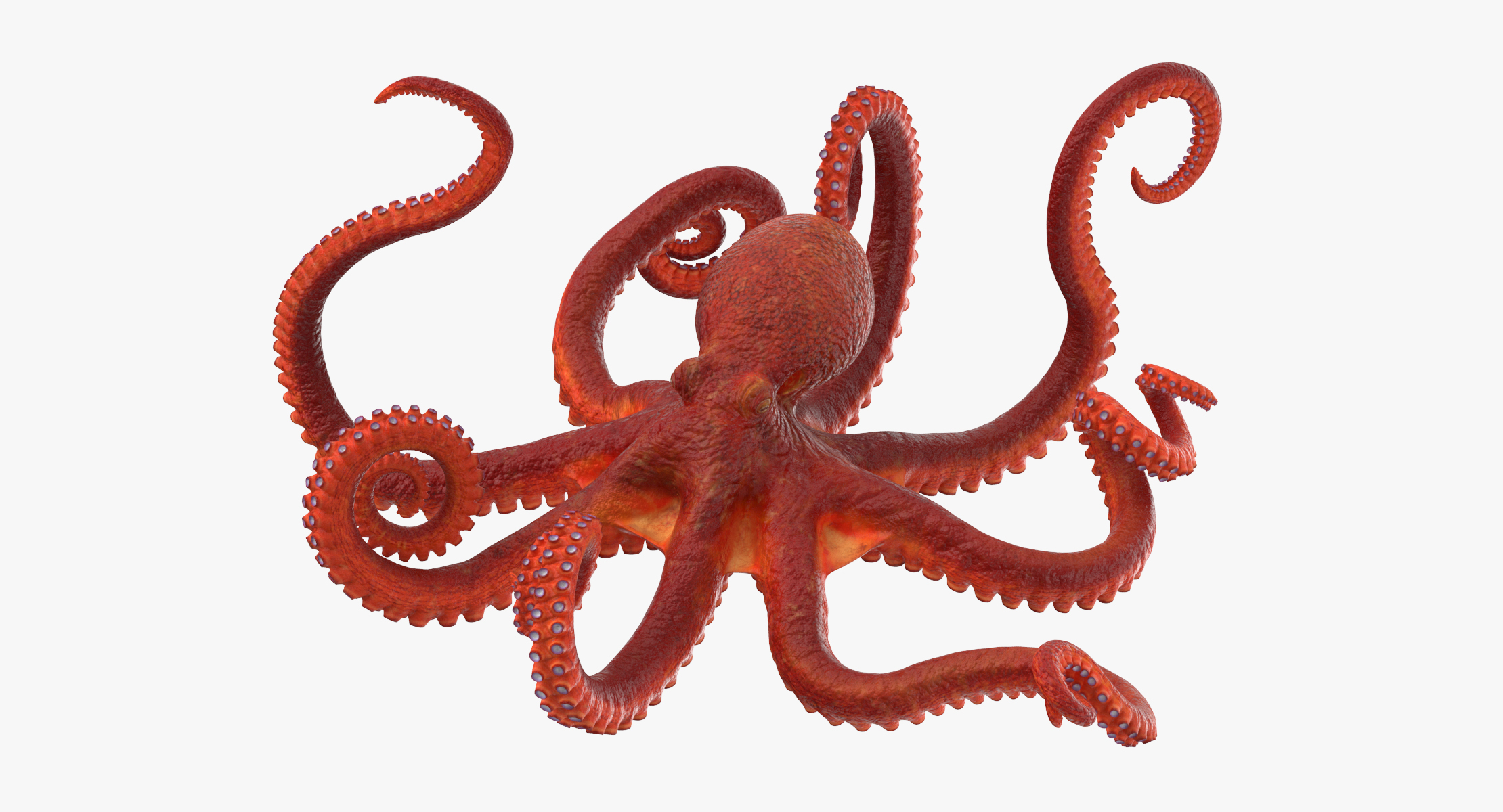 3d model octopus tentacles