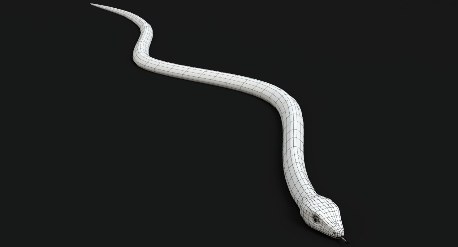 garter snake 3d model