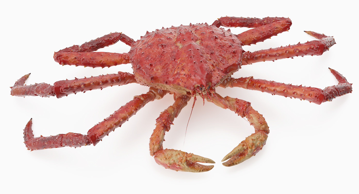 3d red king crab rigged for maya