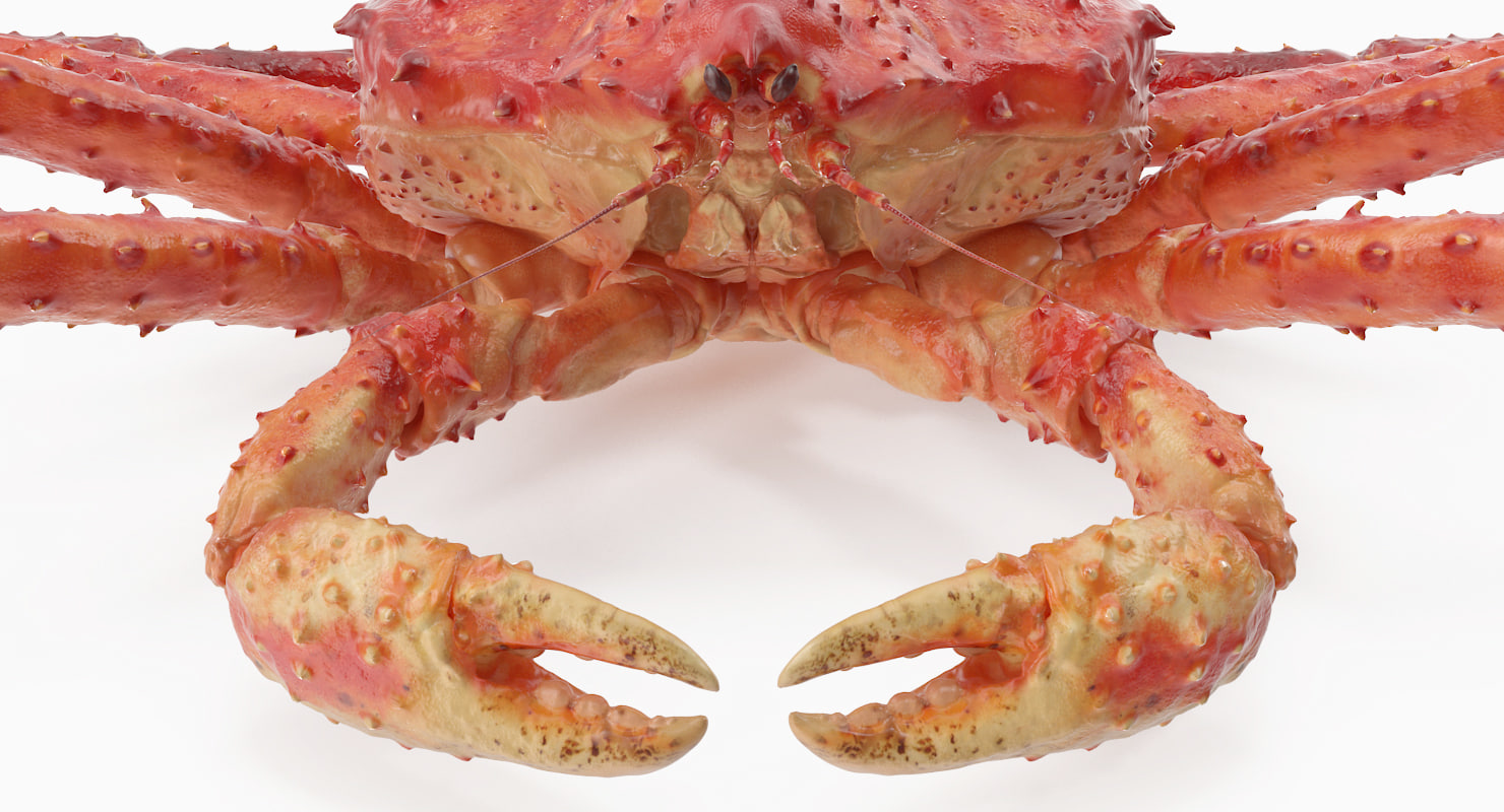 3d red king crab rigged for maya