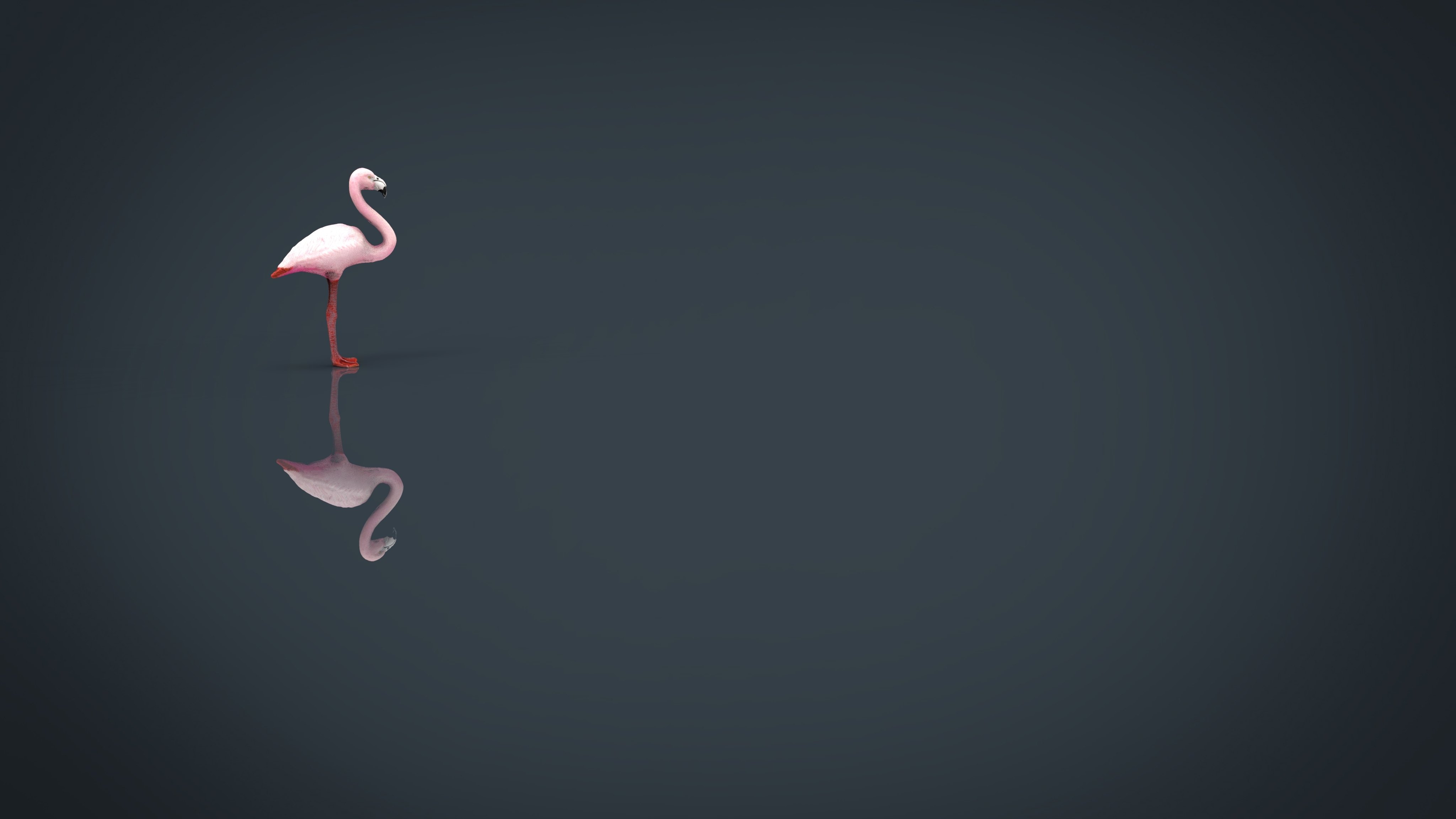 flamingo 3d