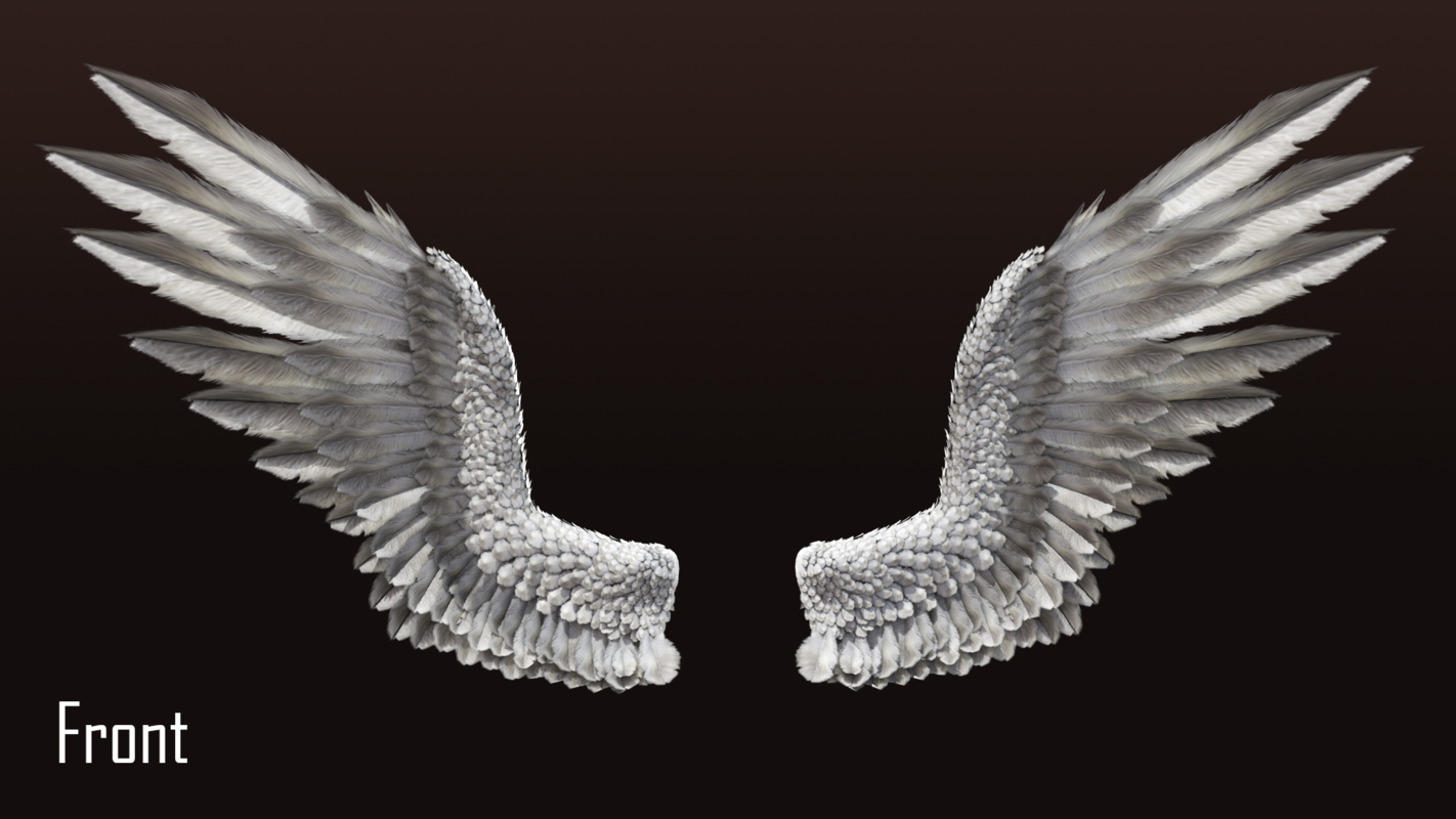 Wings 3d modelшкщвание