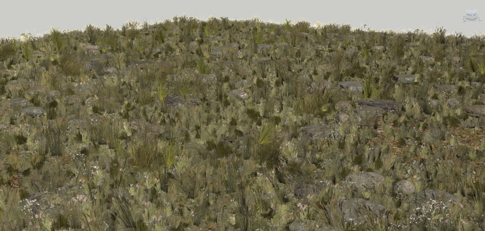 wild grass field (real-time) 3d model