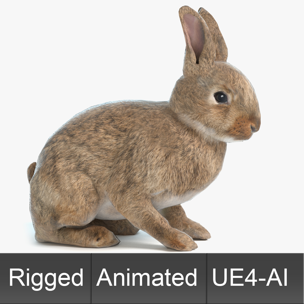 动画游戏兔子3d模型