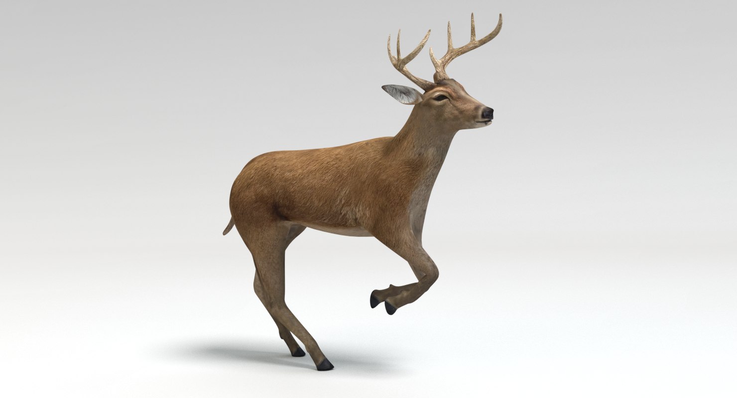 3d animated game animals set 1 model