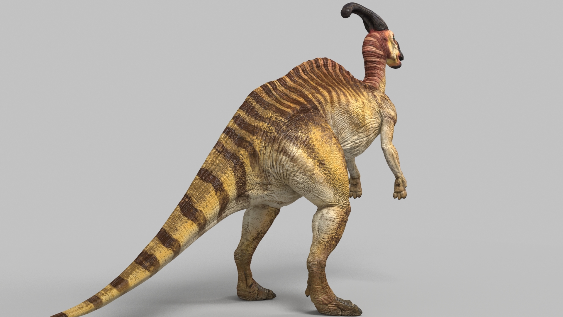 3d parasaurolophus model
