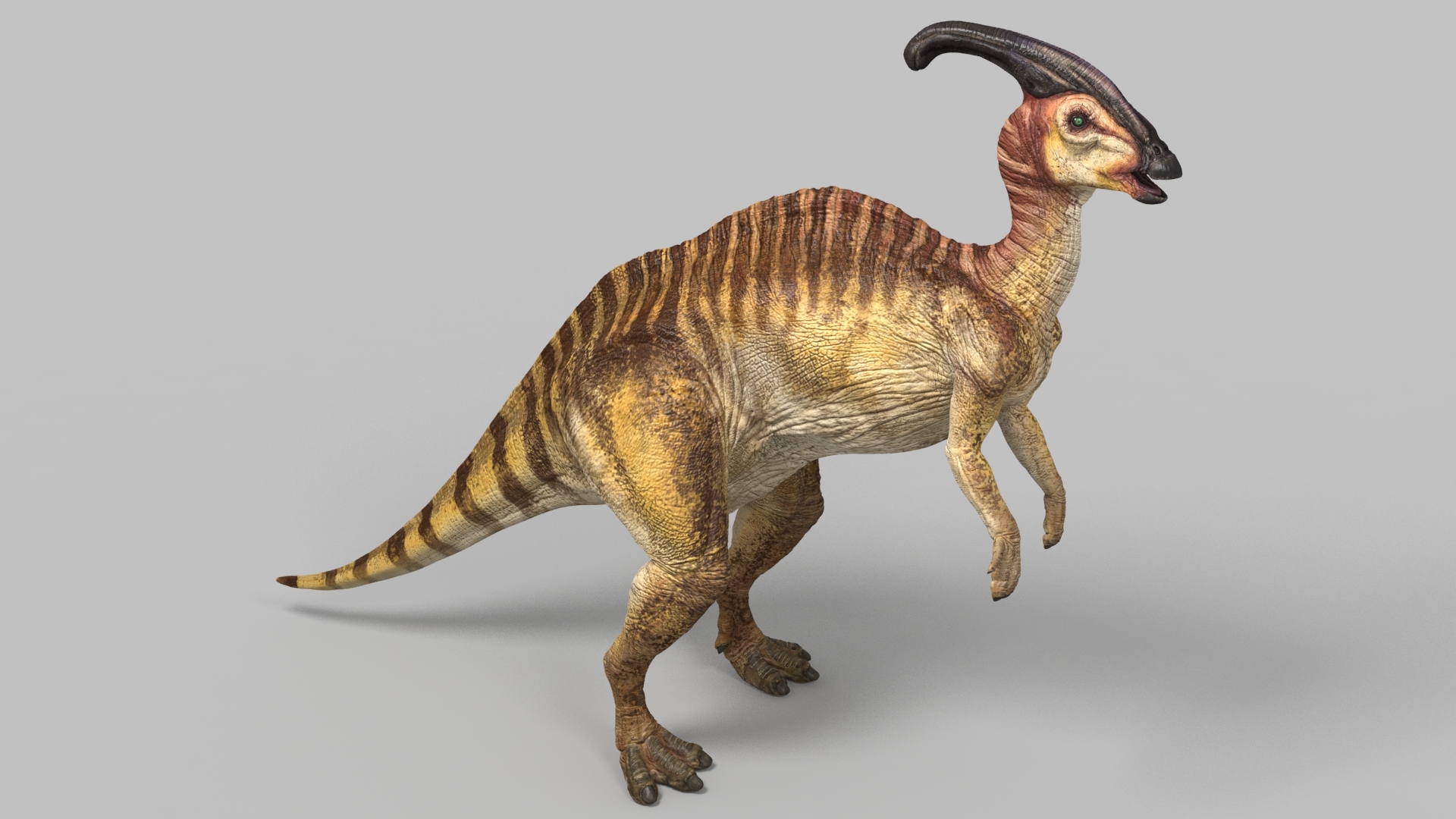 3d parasaurolophus model