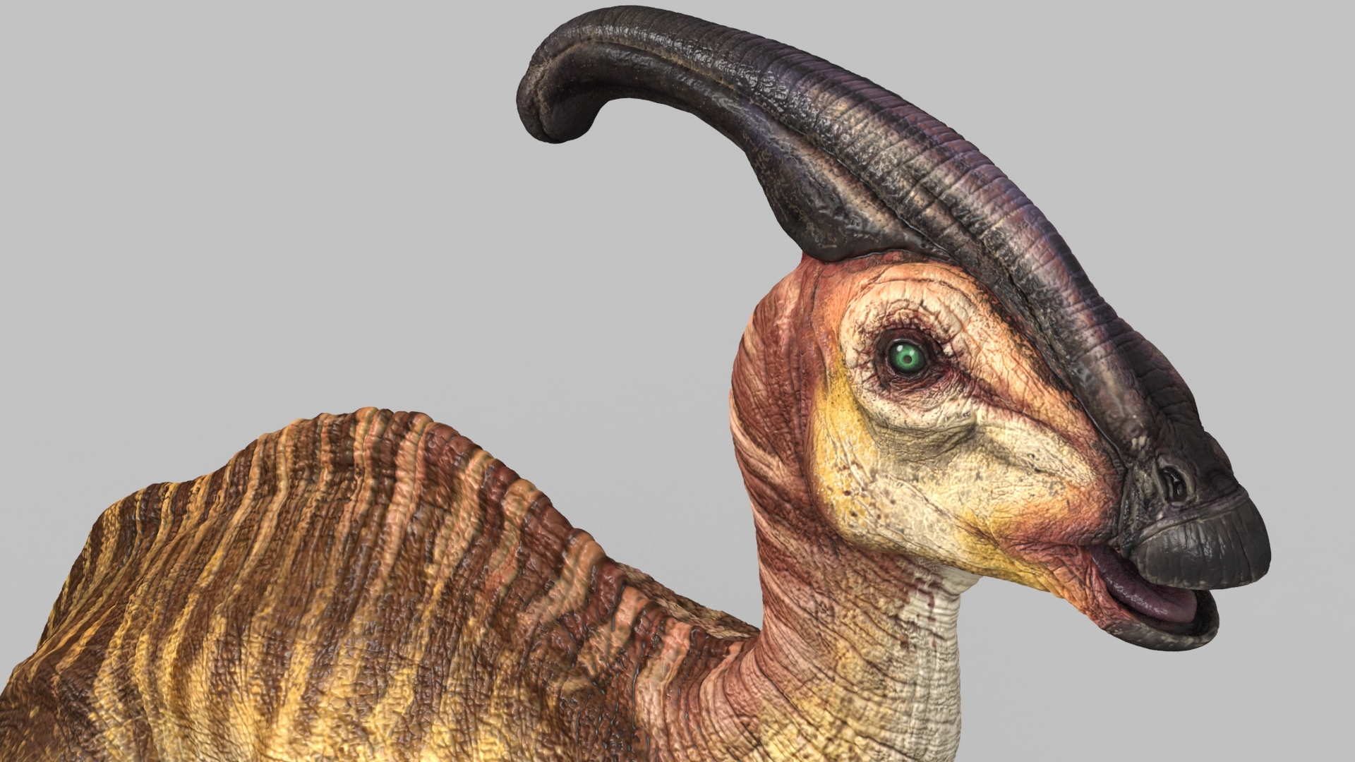3d parasaurolophus model