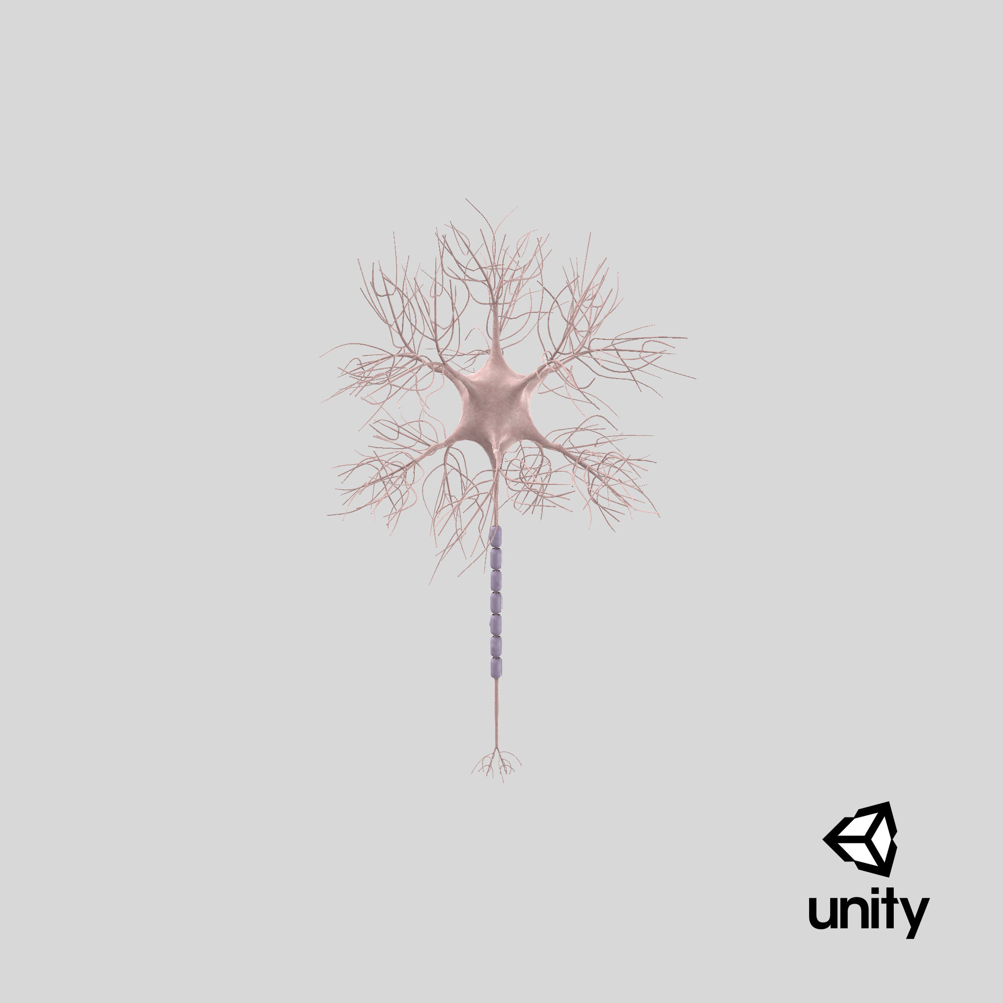 motoric neuron 3d