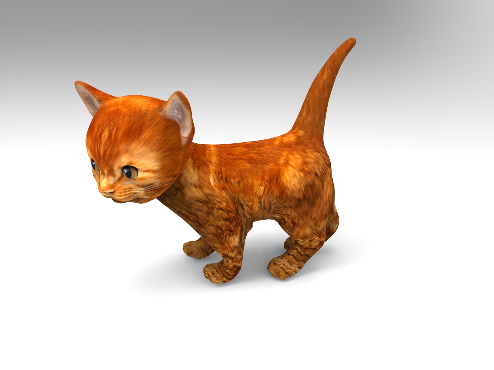 可爱的小猫猫动画3d模型