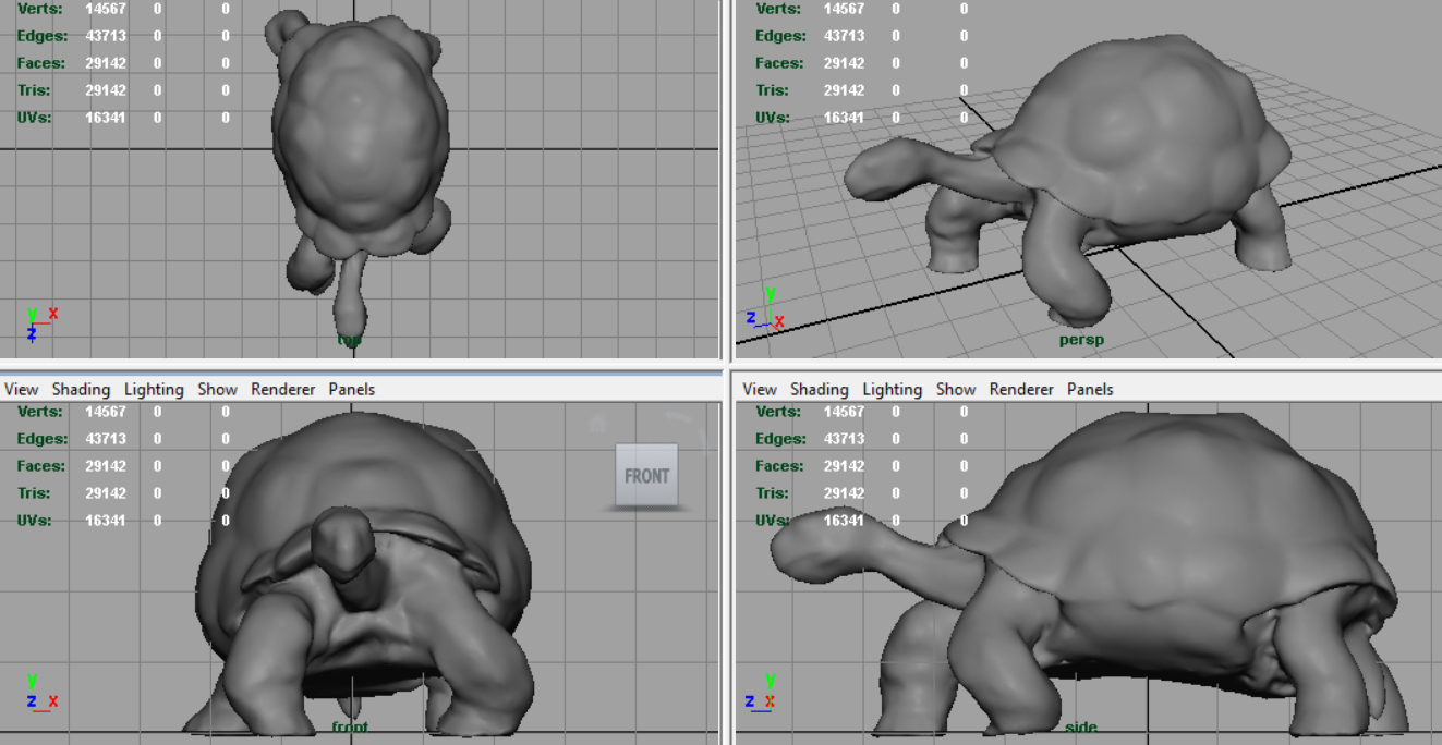 3d giant tortoise model