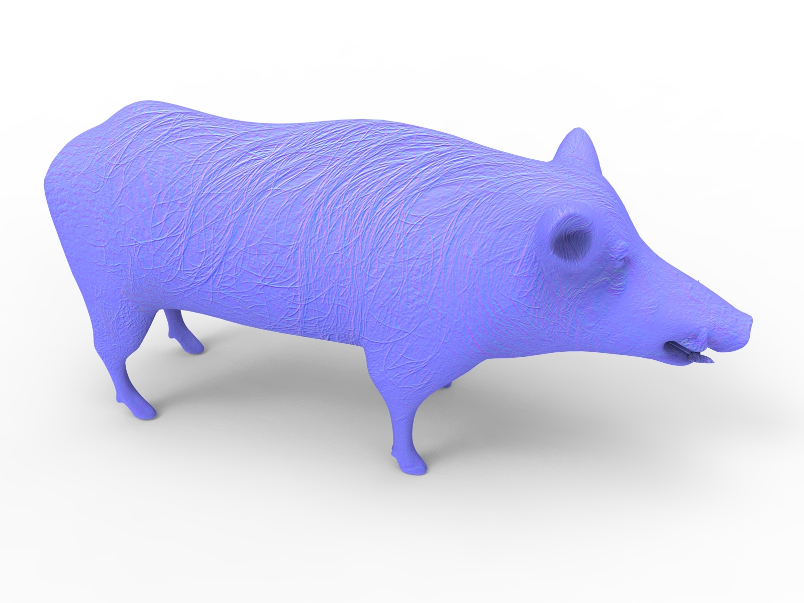 3d wild boar