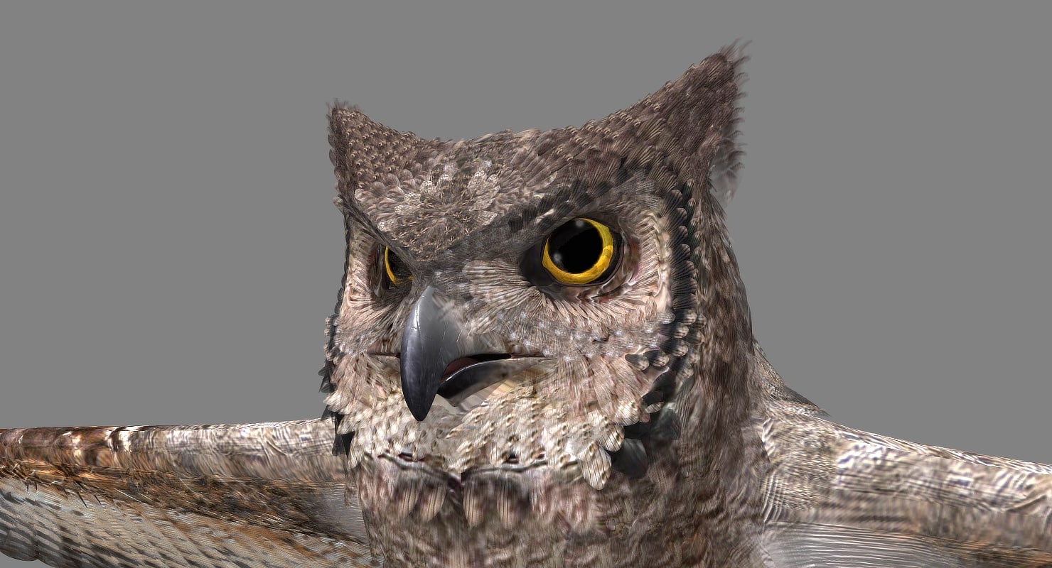 great horned owl 3d model