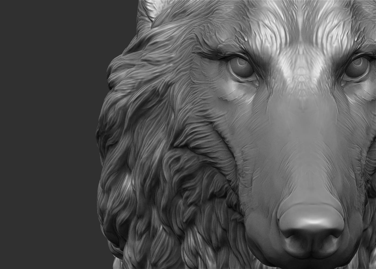 wolf(1) 3d model