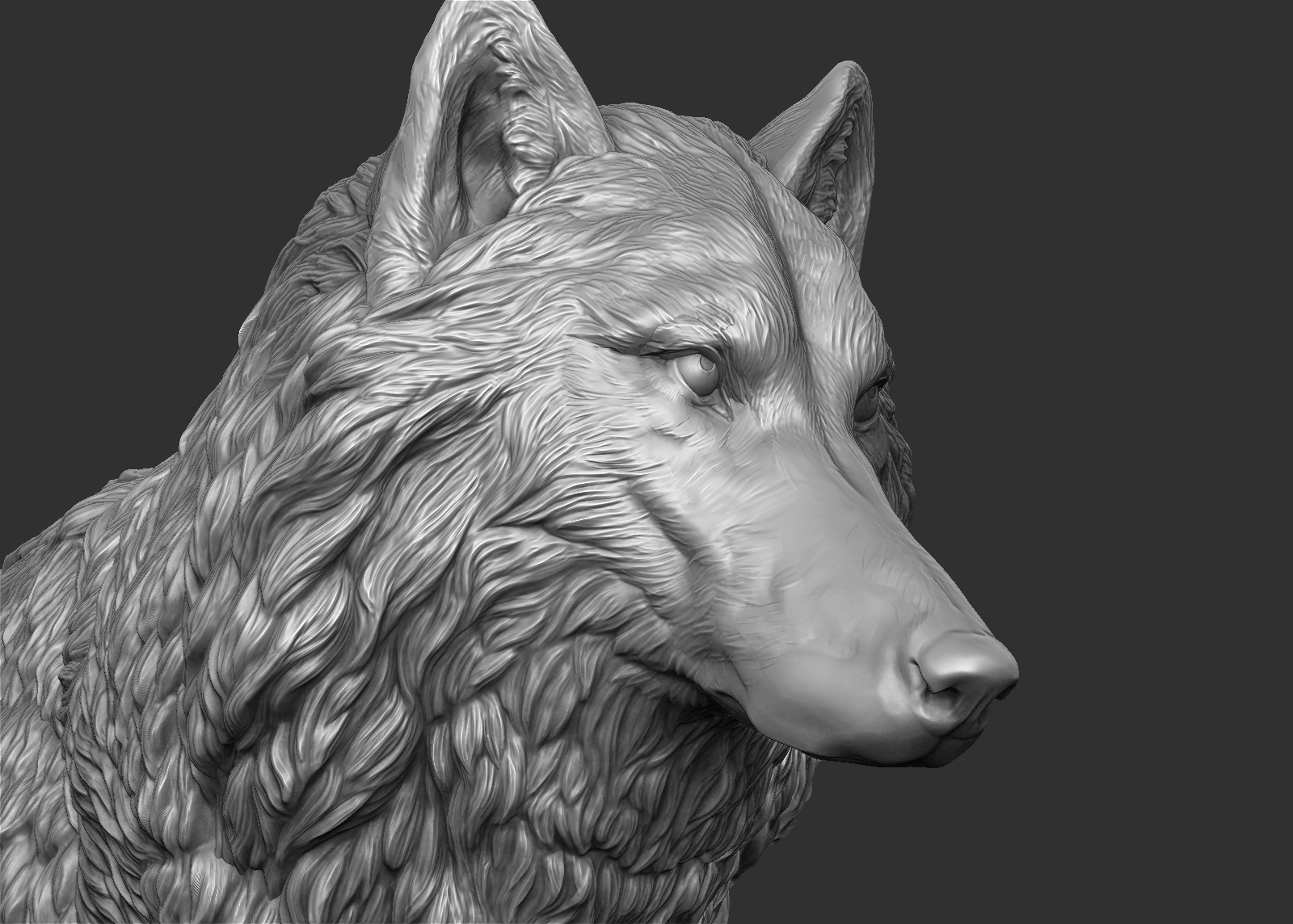 wolf(1) 3d model