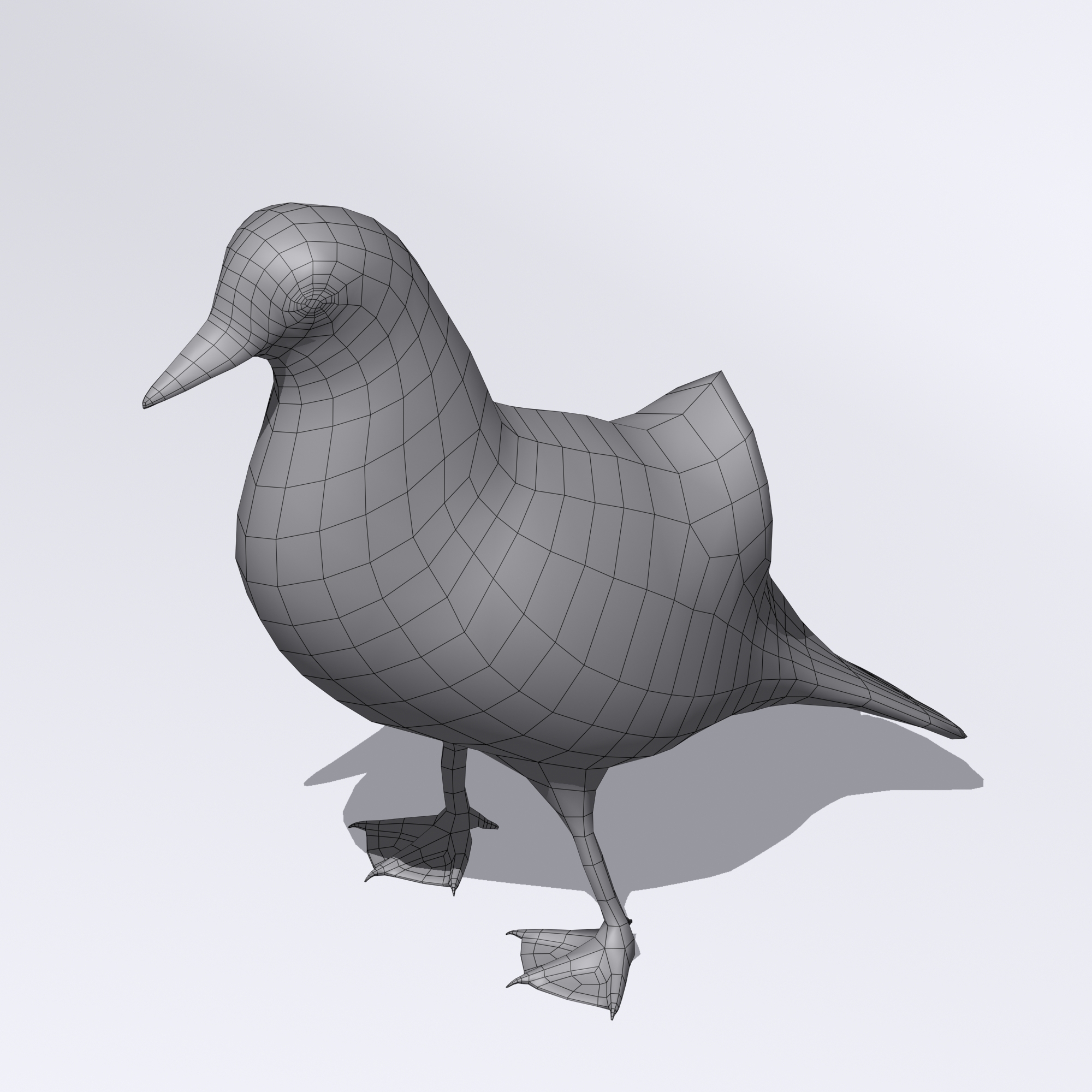 mandarin duck 3d