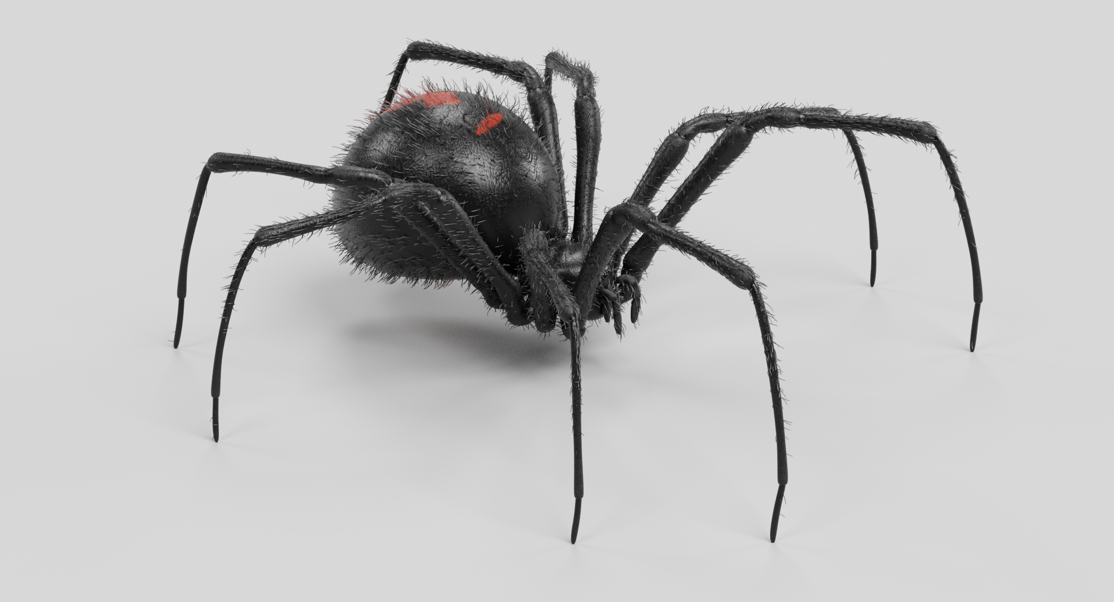 black widow (fur) 3d