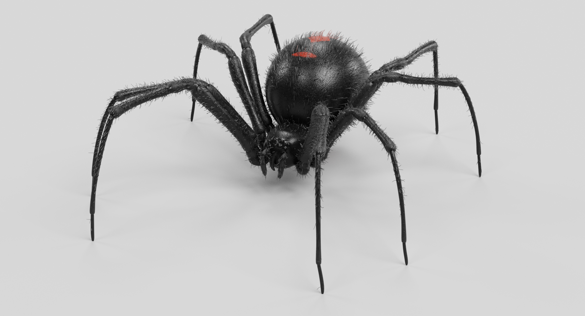 black widow (fur) 3d