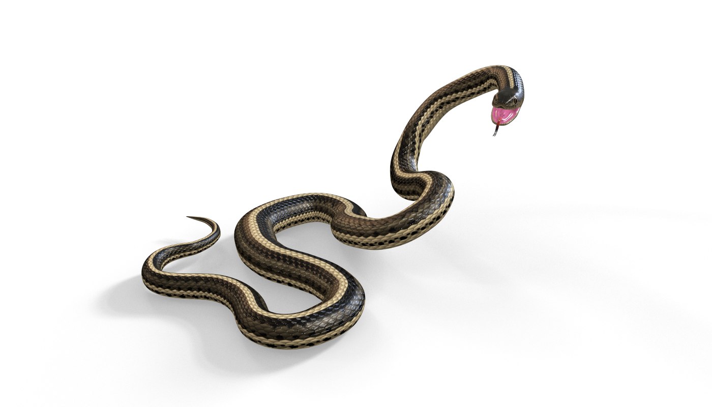 garter snake pbr 3d model