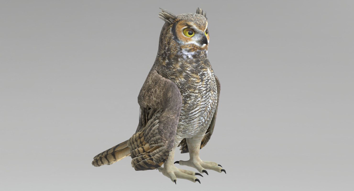 3d great horned owl animated model