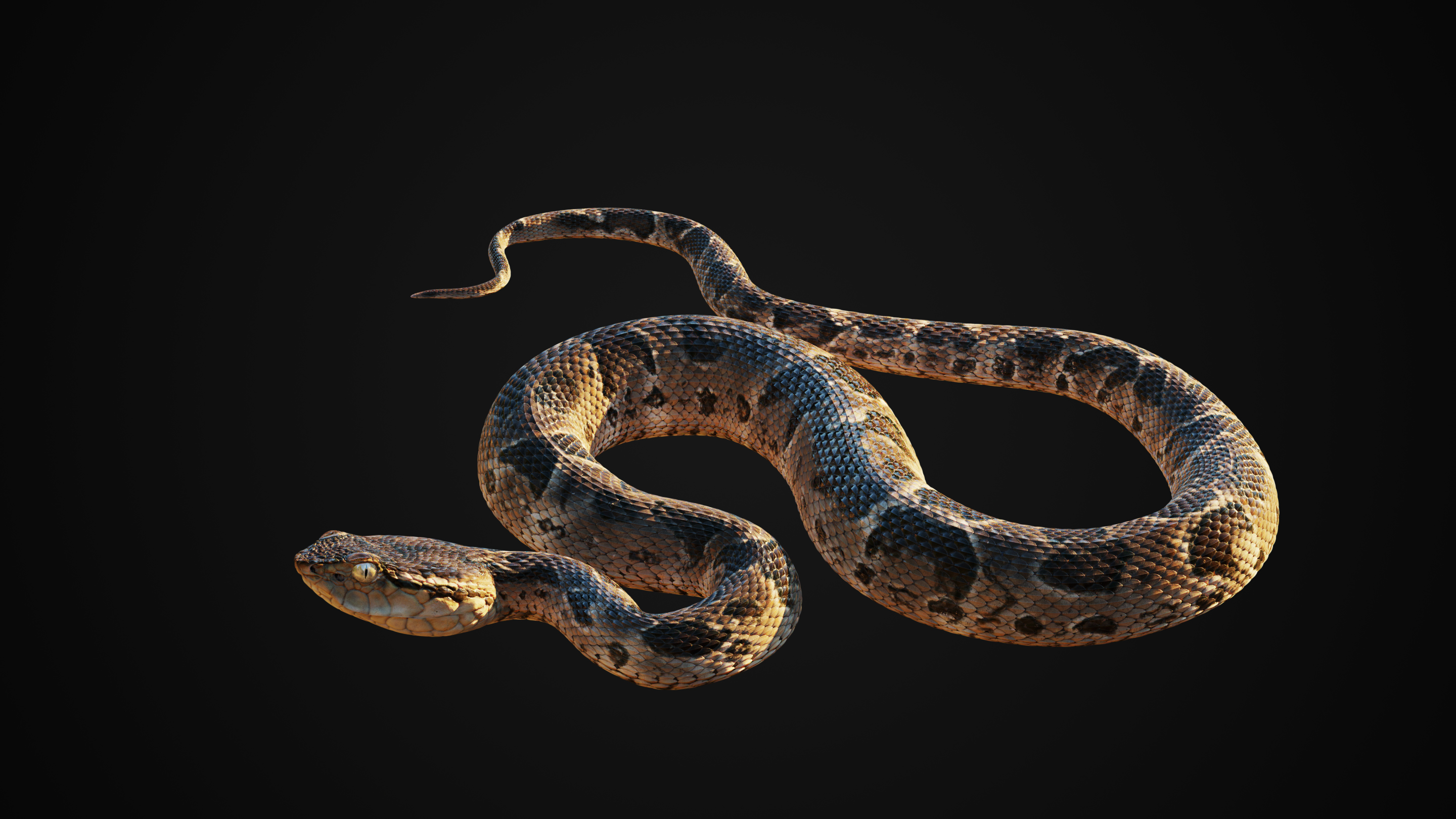 3d model realistic snake