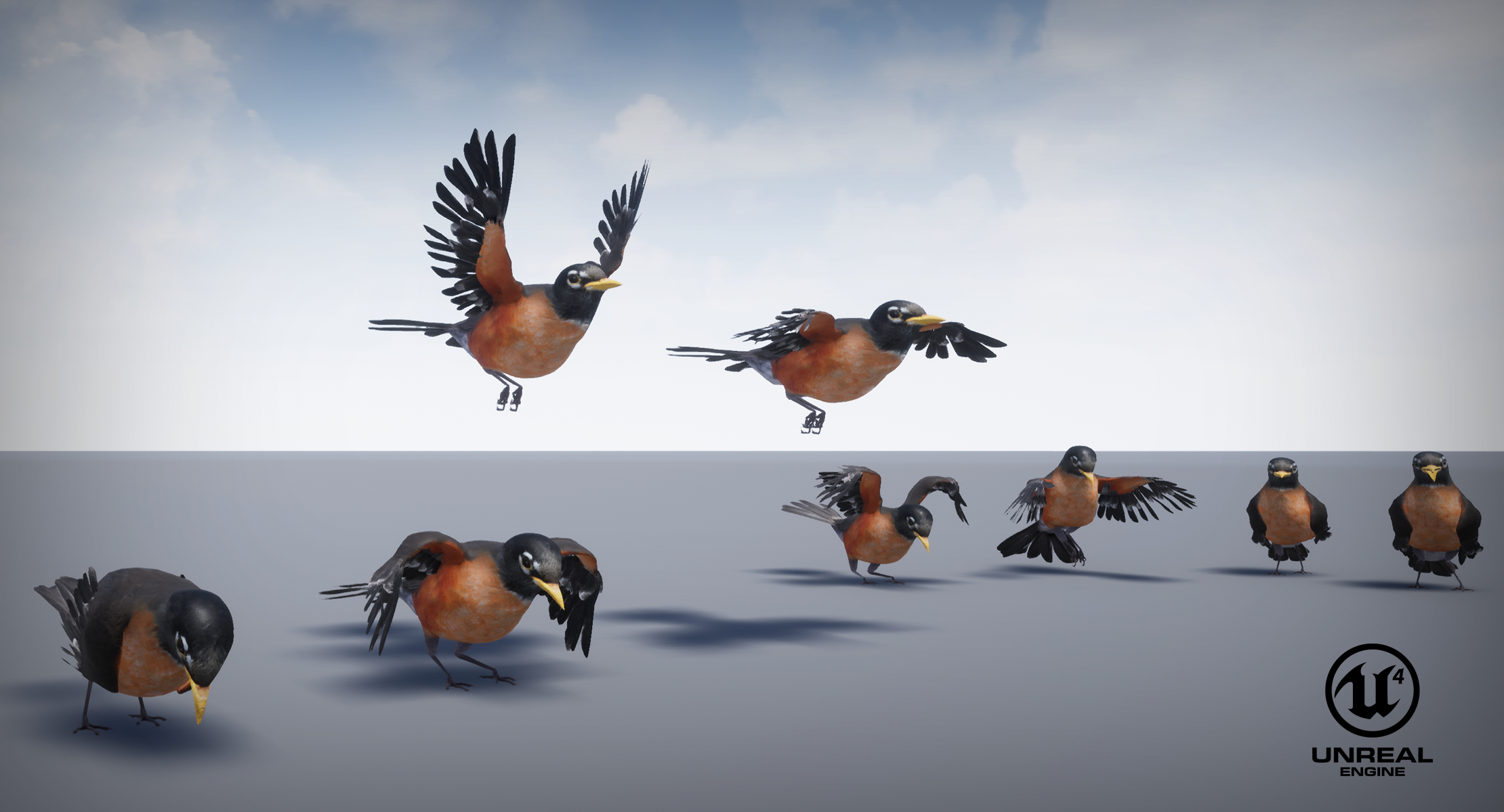 3d set birds owl animations