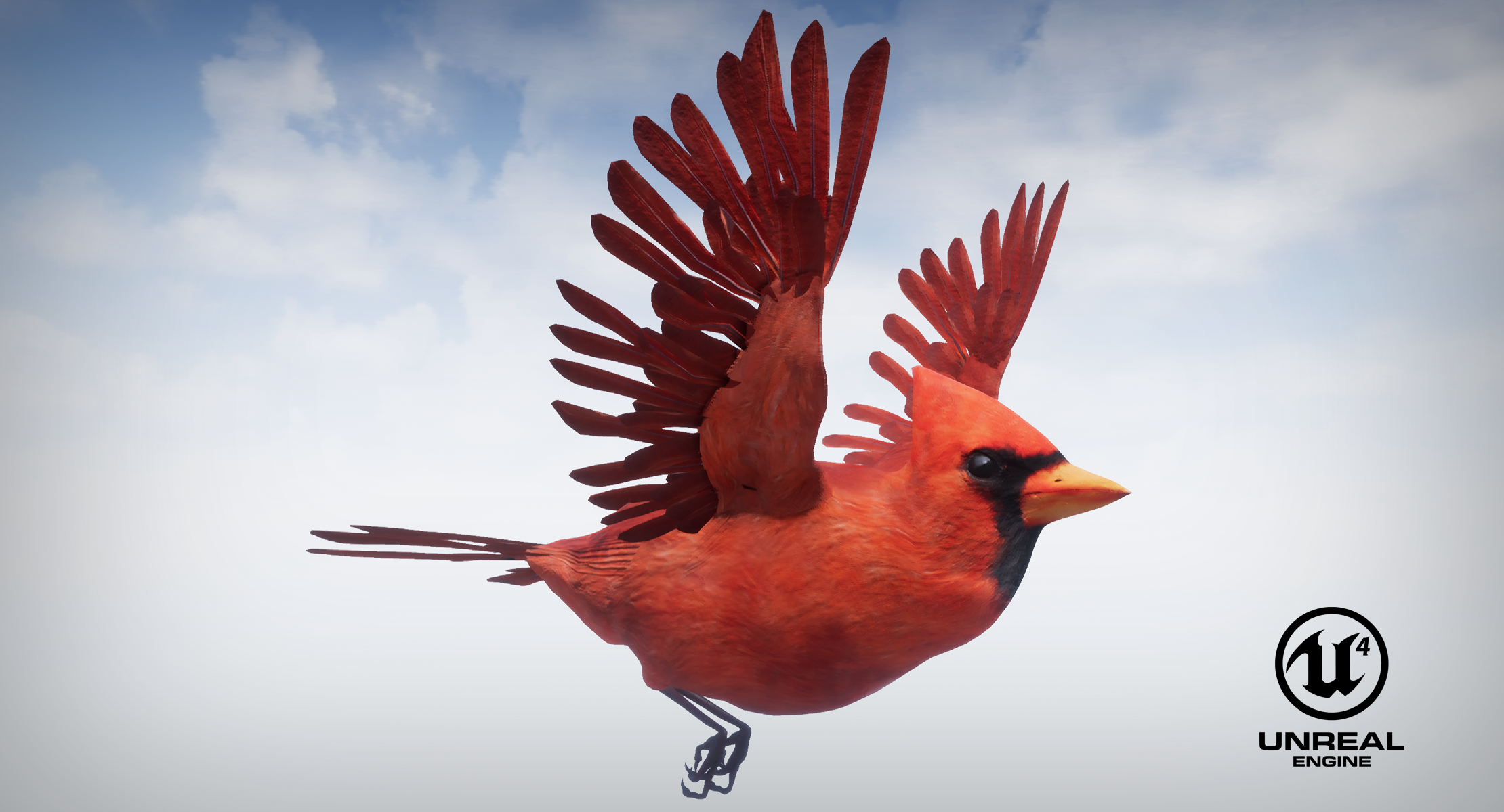 3d set birds owl animations