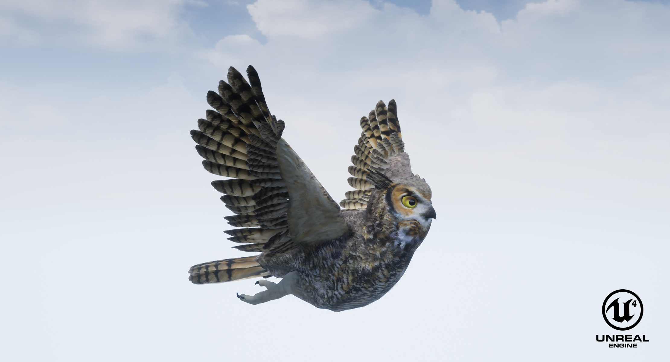 3d set birds owl animations