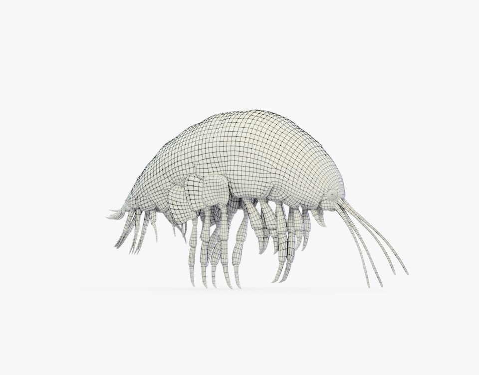 giant amphipod rig 3d - turbosquid 1298442