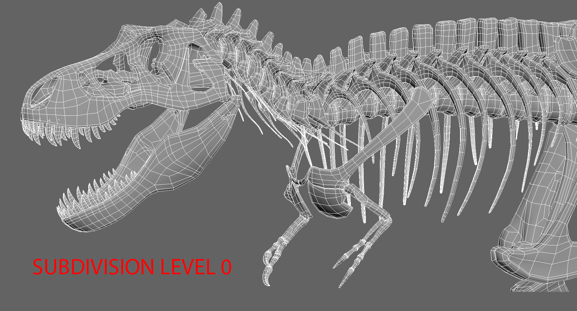 暴龙雷克斯骷髅3d模型