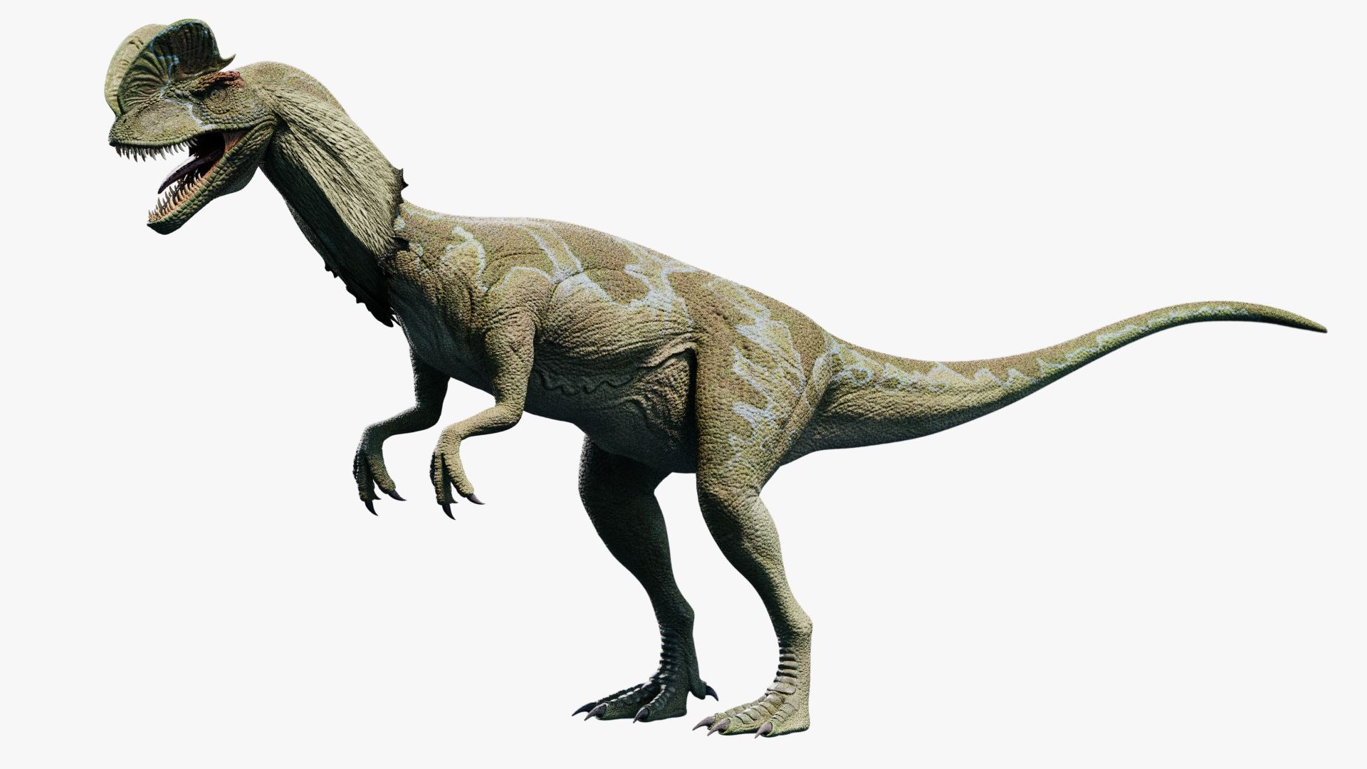 dilophosaurus model