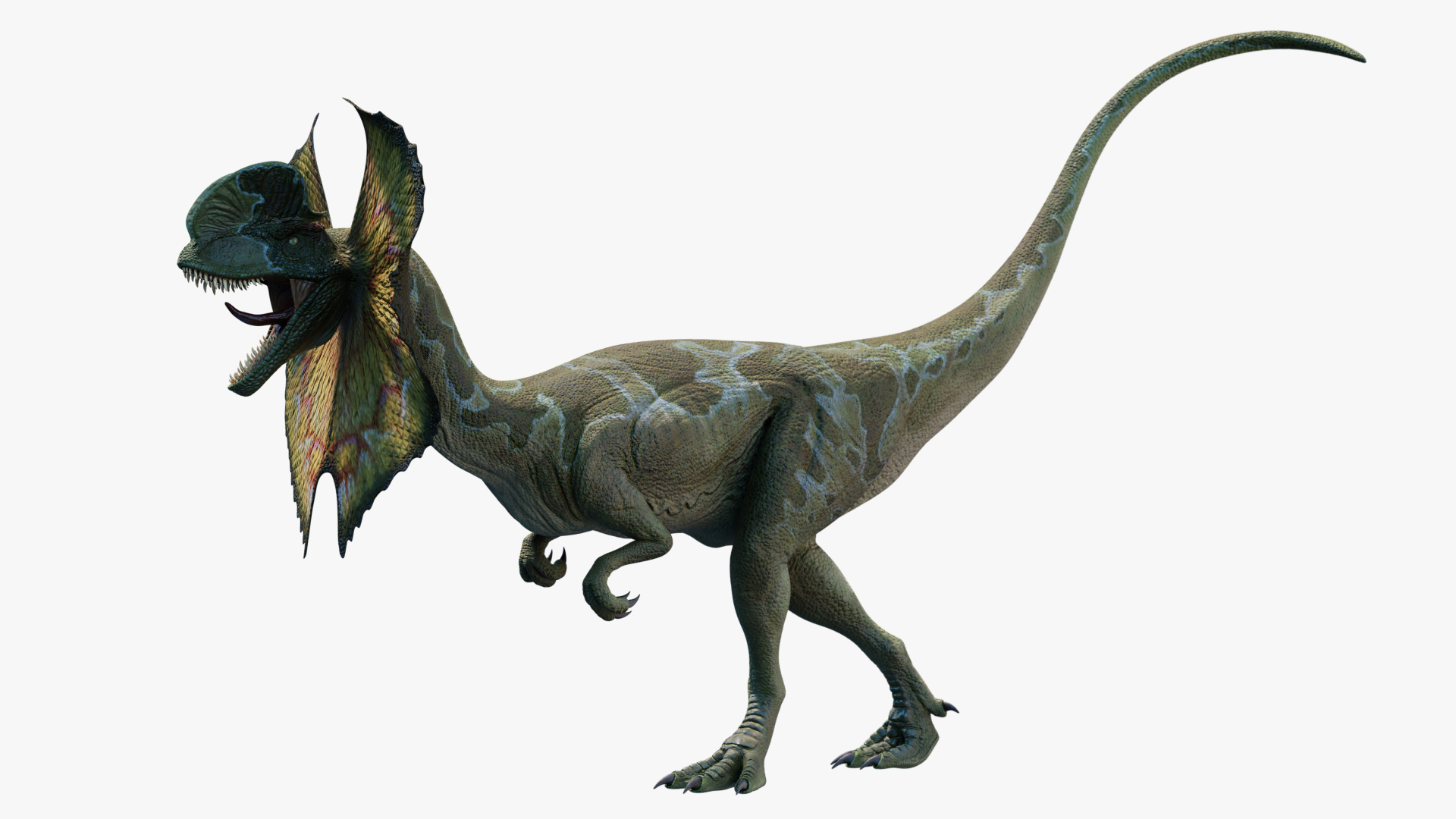 dilophosaurus model