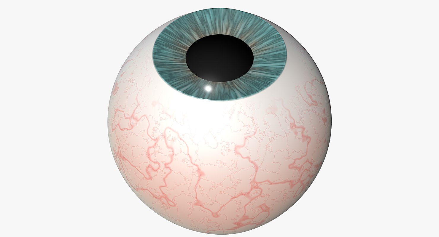 eyeball 1.0 3d model 3d