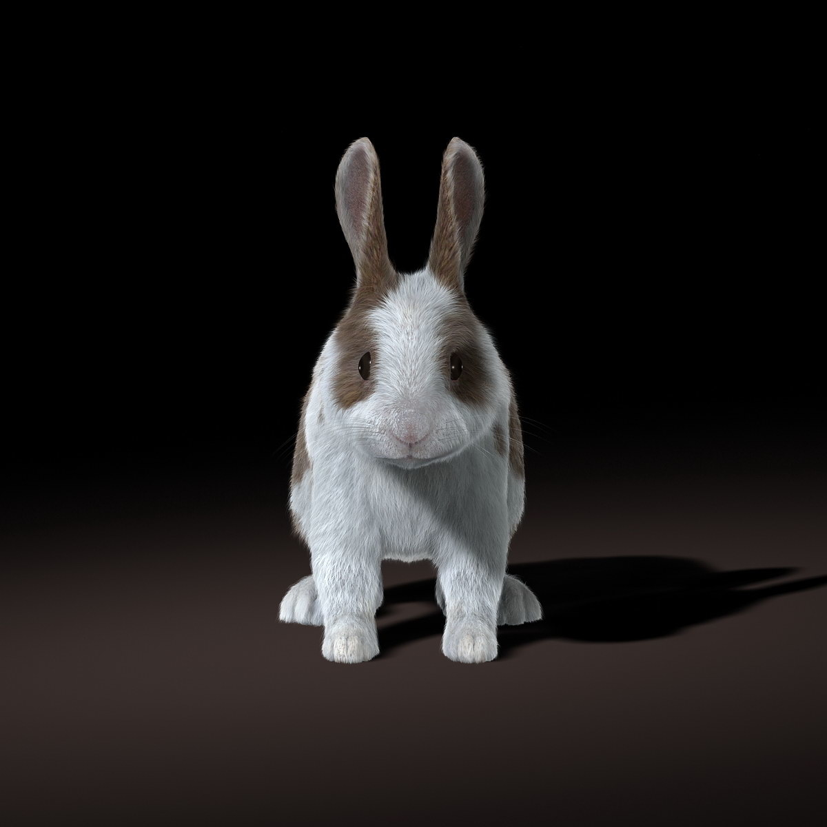 兔子(斑点)(fur)3d模型