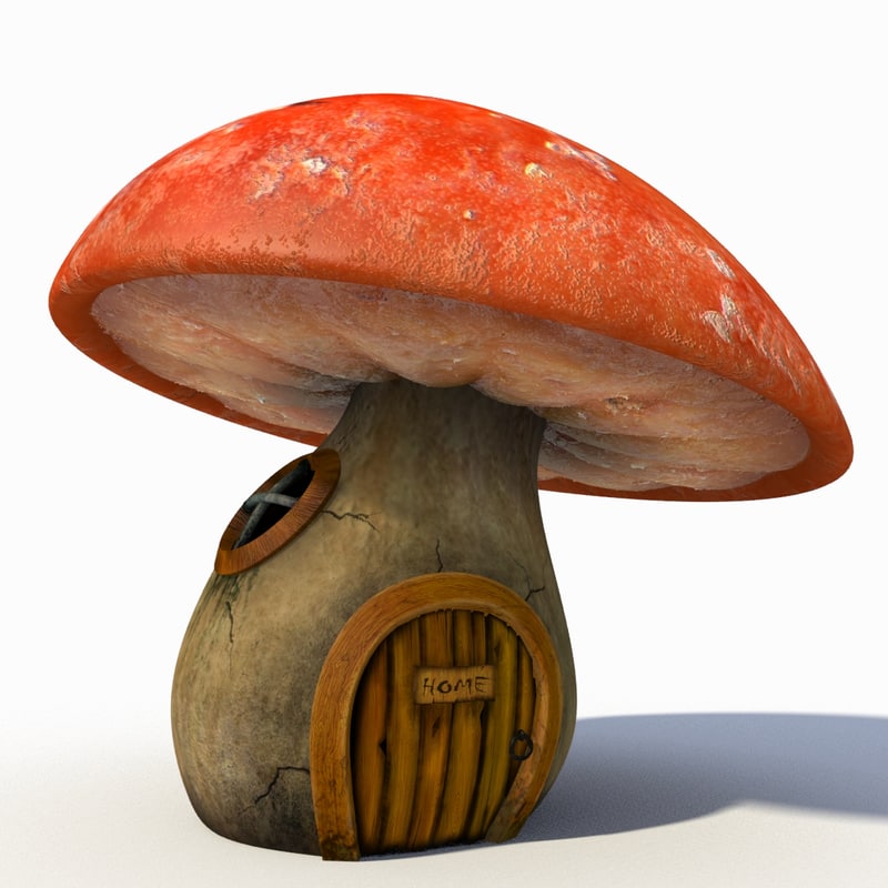 D Model Cartoon Mushroom House