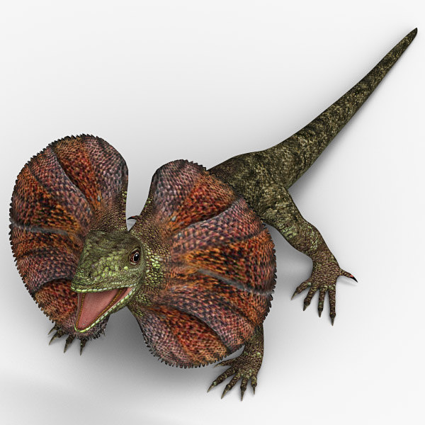 frilled lizard