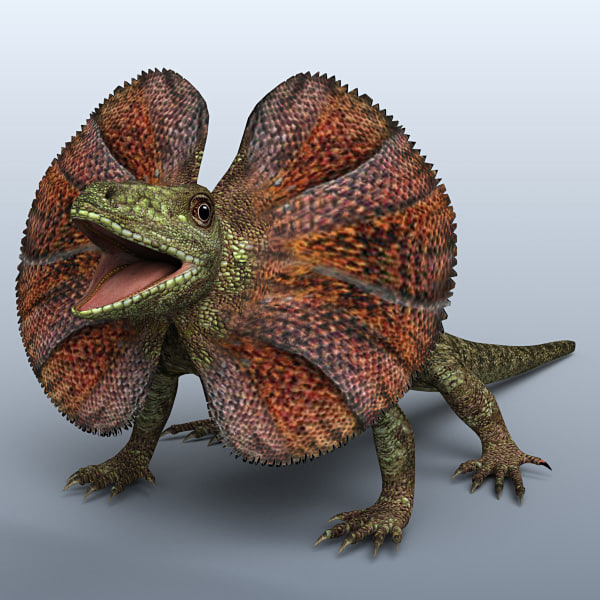 frilled lizard