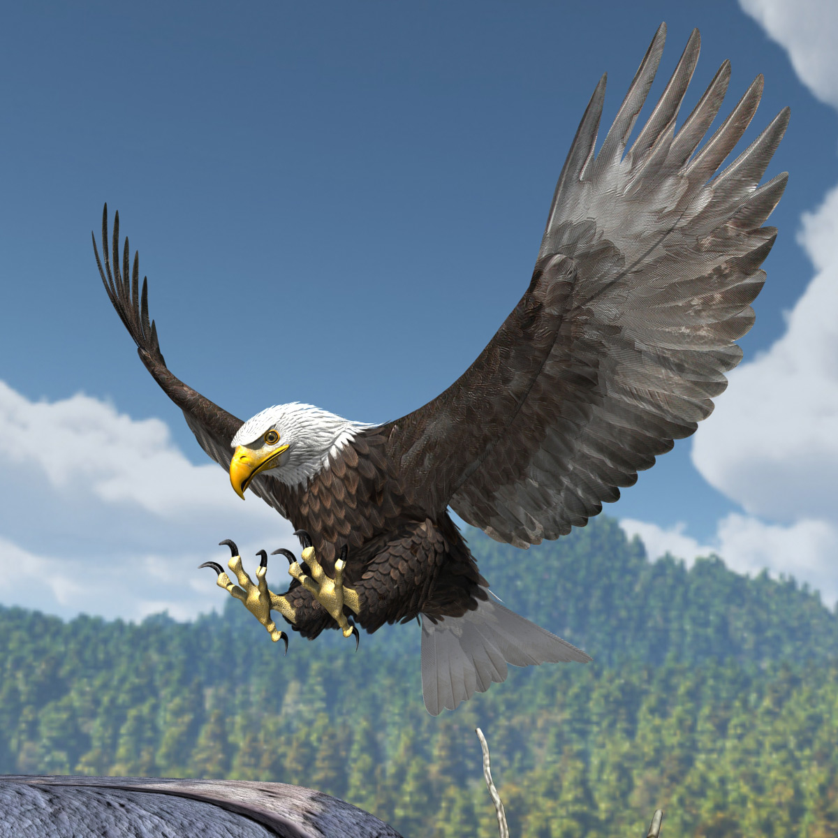 美国白头鹰3d模型