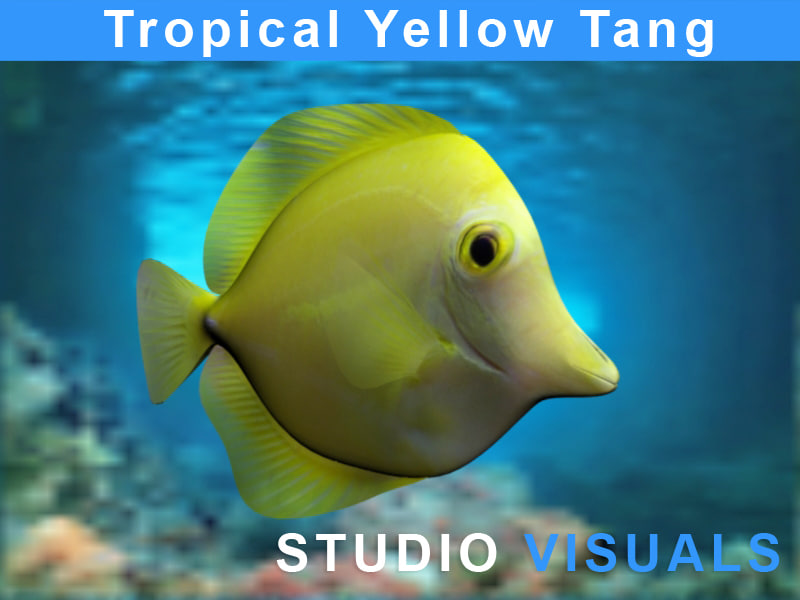 yellow tropical fish max
