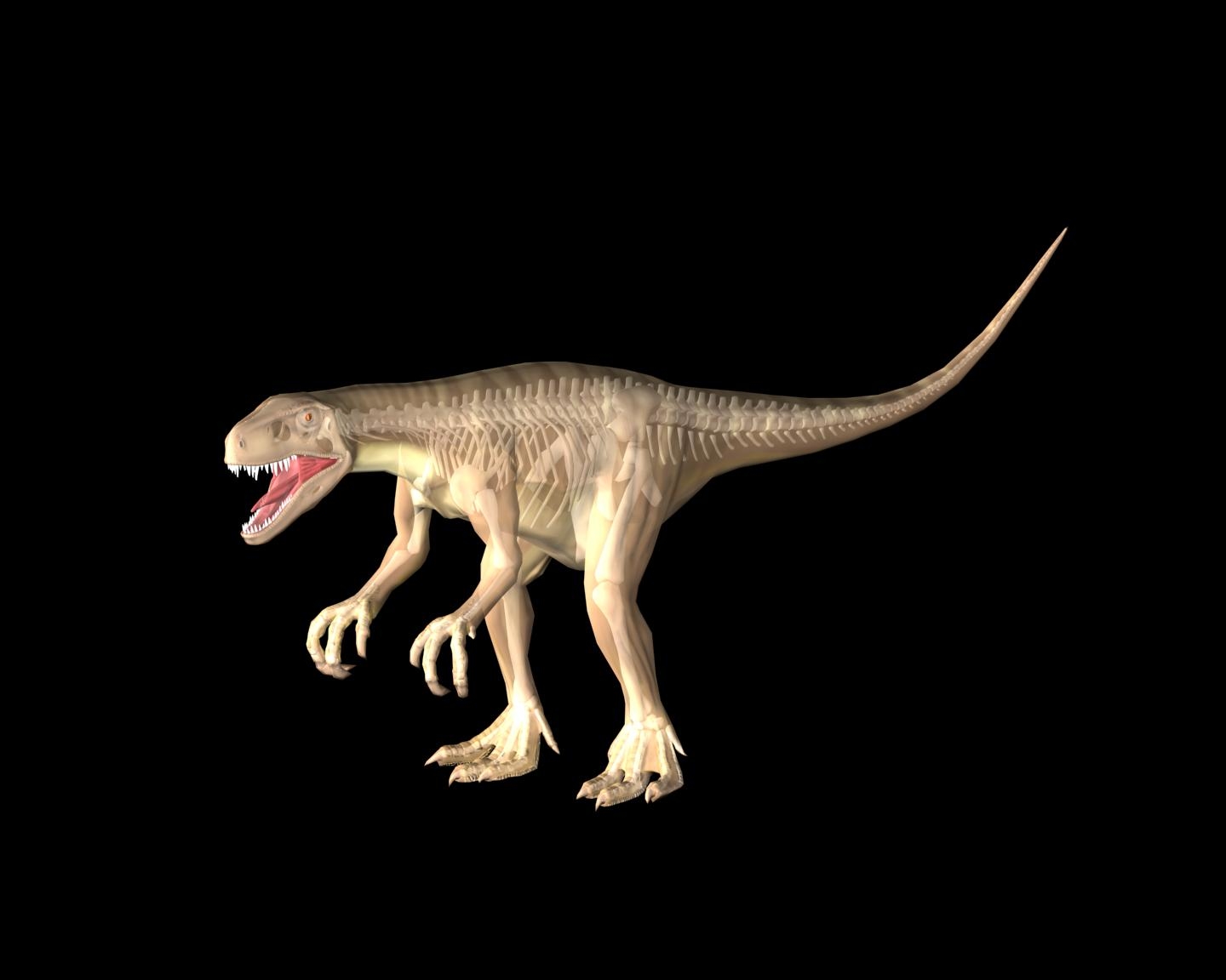 herrerasaurus dinosaur